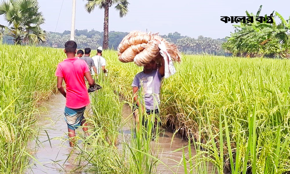 রাস্তা না থাকায় গ্রামের বাসিন্দারা তাদের প্রাপ্ত বয়সী ছেলে-মেয়েদের ভালো কোনো পরিবারে বিয়ে দিতে পারছেন না। ছবি : কালের কণ্ঠ