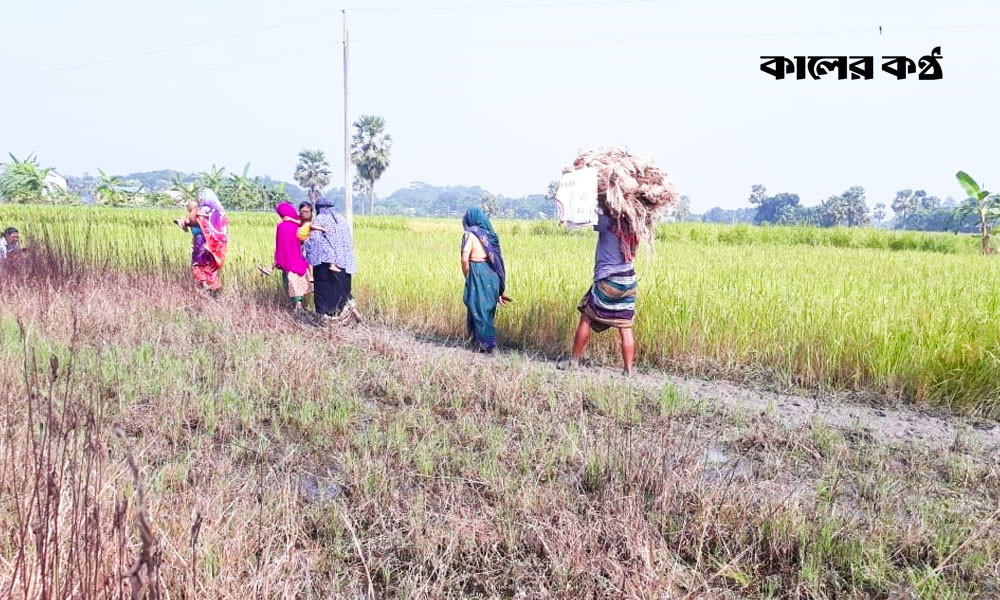 বর্ষার পানি কমে যাওয়ায় গ্রামের চারপাশ কাঁদামাটির স্তূপে পরিণত হয়েছে। বাসিন্দারা কৃষিপণ্য মাথায় করে ওই কাদামাটির ভেতর দিয়ে পায়ে হেঁটে হাট-বাজারে নিয়ে যাচ্ছেন। ছবি : কালের কণ্ঠ