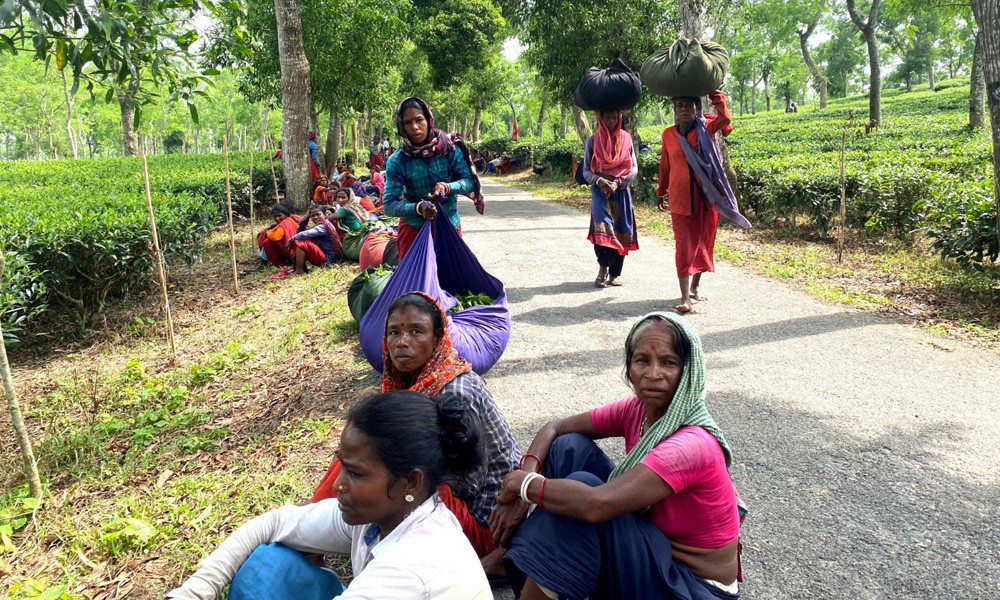যতদূর চোখ যায় কেবলই সবুজ। সবুজের মাঝে বেয়ে যাওয়া রাস্তার পাশে বসে আছেন চা শ্রমিকরা। ছবি : কালের কণ্ঠ