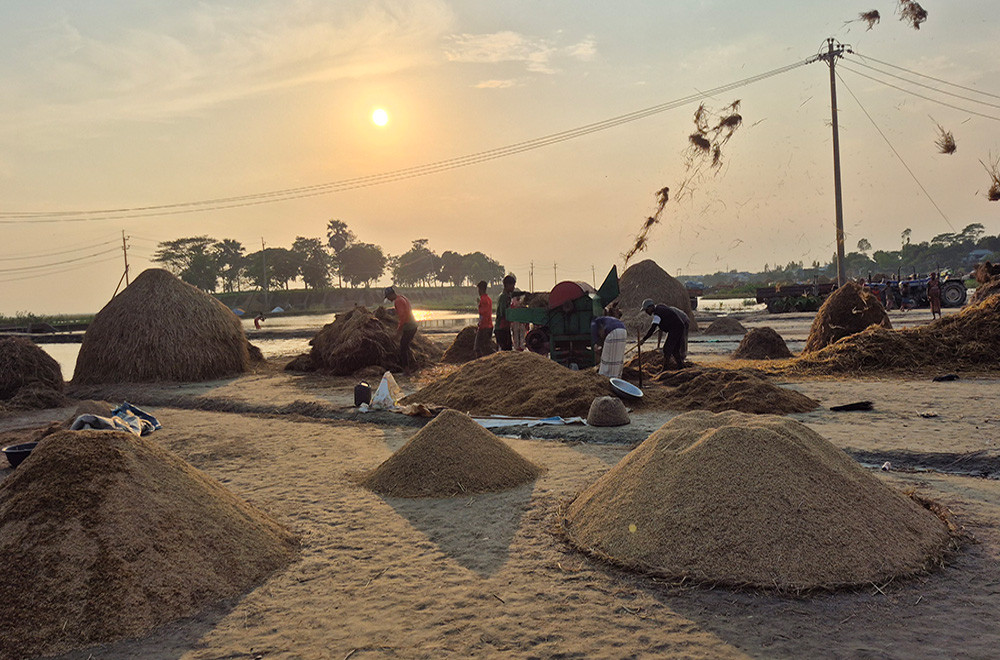 হাওরে বৃষ্টি