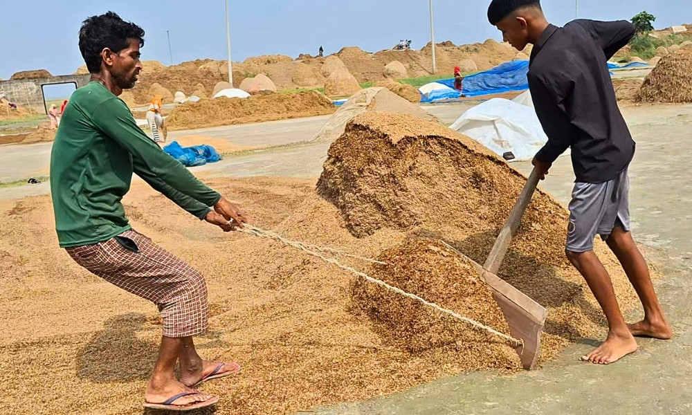 ধানের খোলায় কৃষকের ঈদ