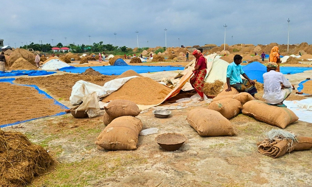 ধানের খোলায় কৃষকের ঈদ