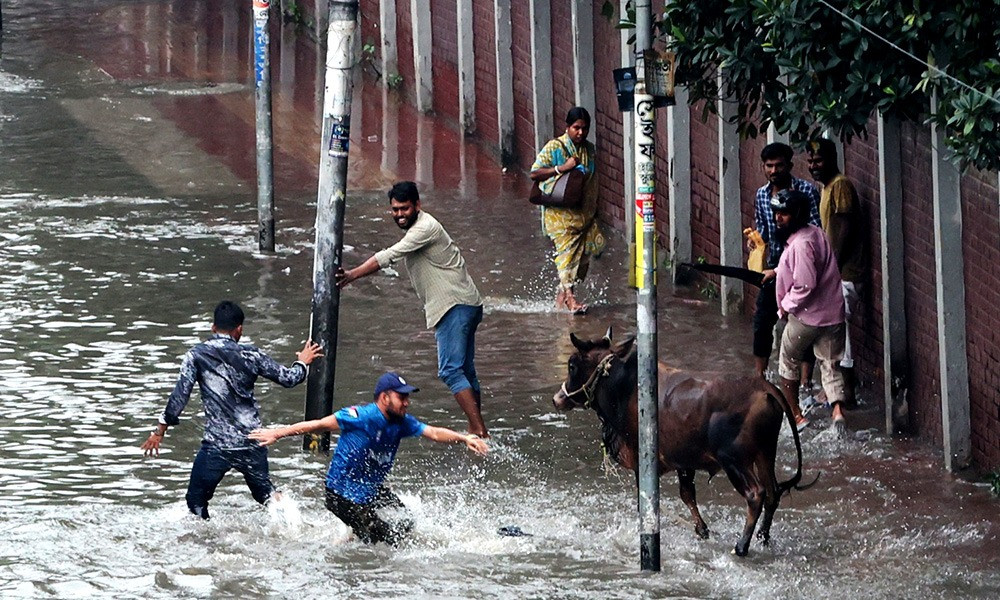গরুছুট