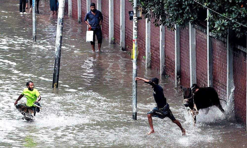 গরুছুট