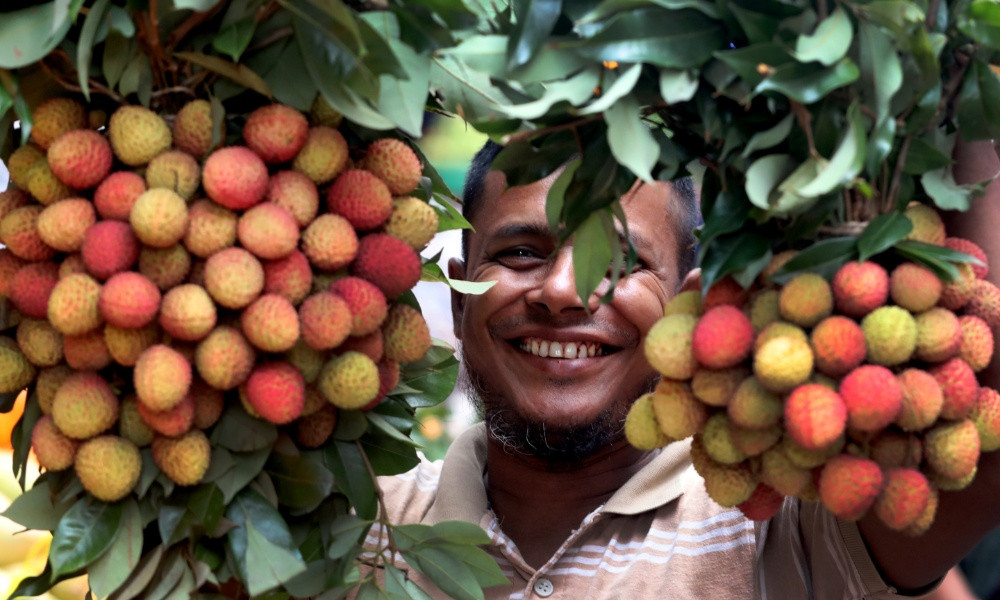 জ্যৈষ্ঠের মধু