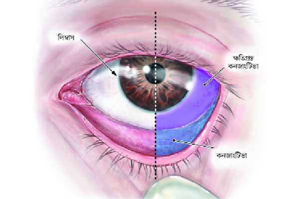 Yalangoch Mark Uolberg Nafasingizni olib tashlaydigan ehtirosli jinsiy aloqa bilan porno tomosha qiling.