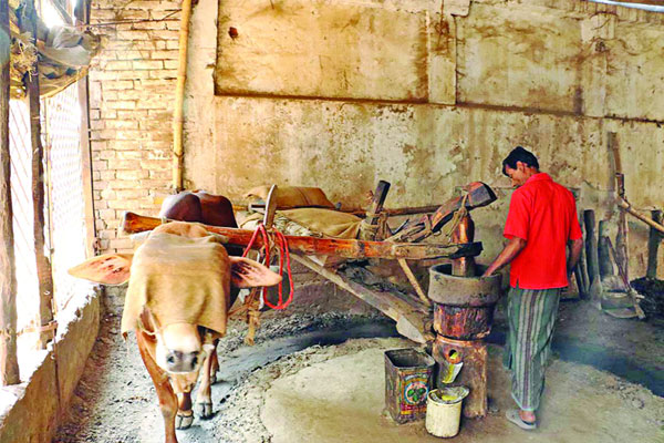 একটি তেলের ঘানি