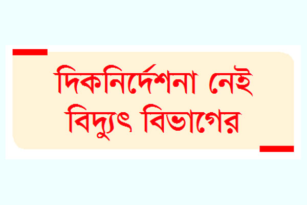 হিটারের বিকল্প ইন্ডাকশন চুলায় বাজার সয়লাব