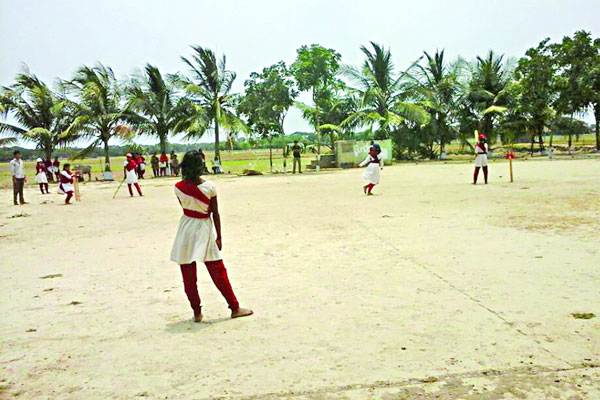সুন্দরবনের সাহসী মেয়েরা
