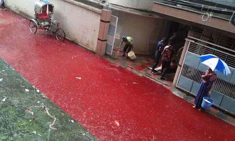 ফেসবুকে ভাইরাল লাল সবুজের ঢাকা