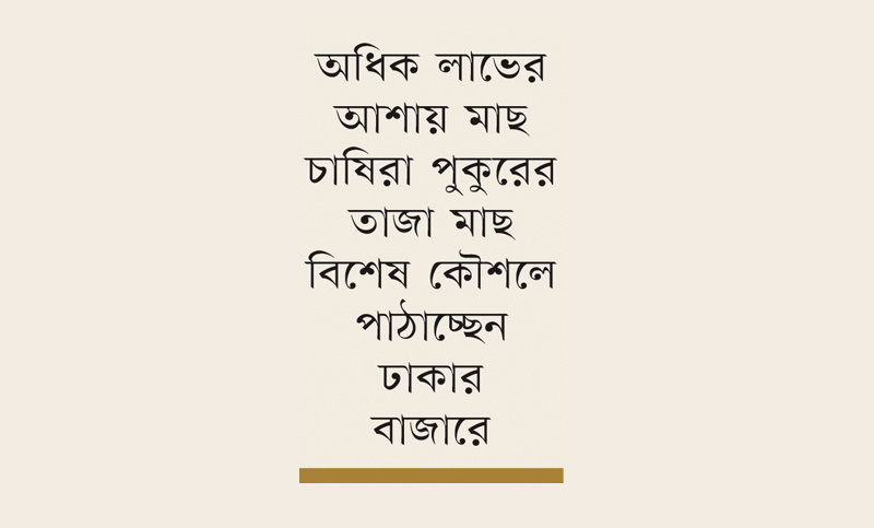 রাজশাহীতে সমন্বিত মাছ চাষ, মুখে হাসি চাষিদের