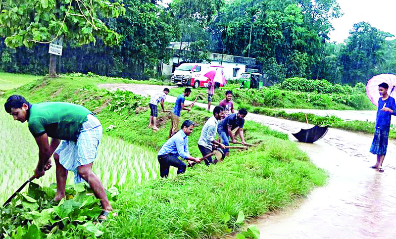 আজ সাড়ে চার লাখ চারা রোপণ করে বিশ্বরেকর্ড গড়বে রাউজান