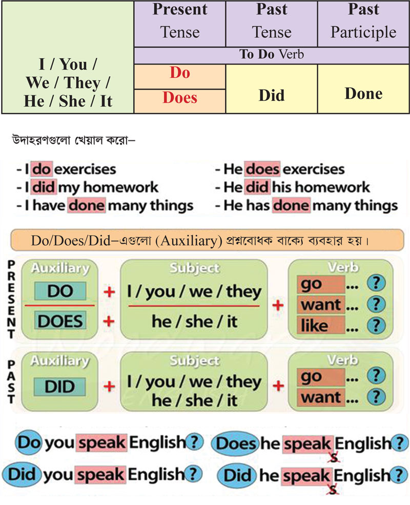 Do, Does, Did, Done কখন কোনটা?