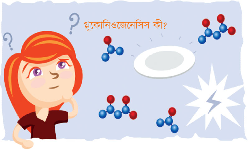 জীববিজ্ঞান দ্বিতীয় পত্র