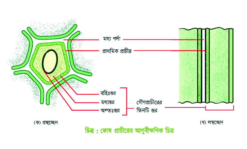 জীববিজ্ঞান