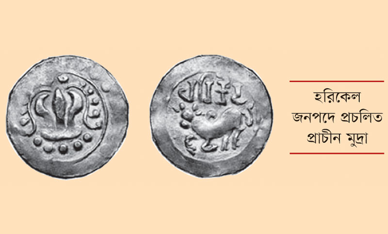হরিকেল