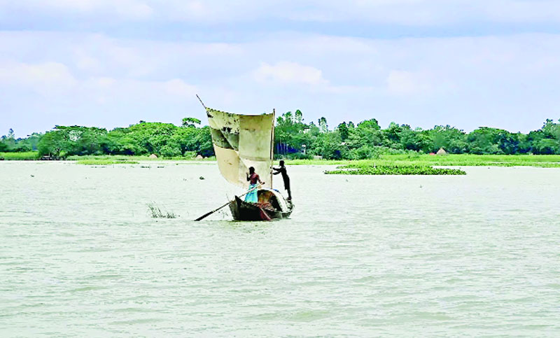 মেঘনা