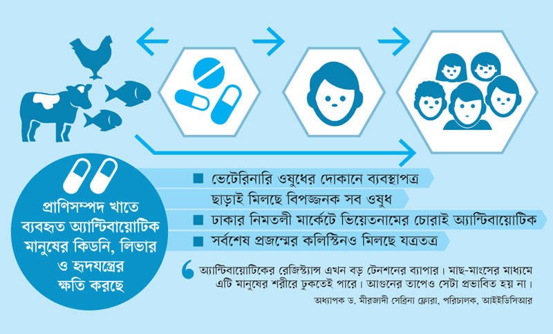 মাছ মাংসে যথেচ্ছ অ্যান্টিবায়োটিক