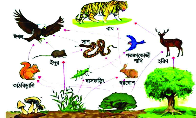 বাস্তুবিদ্যা