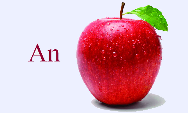 ‘A’ ও ‘An’ এর ব্যবহার (পর্ব-১)