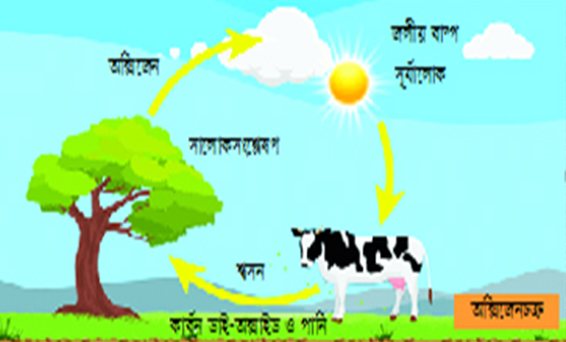 অক্সিজেনচক্র
