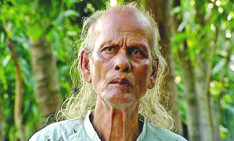টিভি হাইলাইটস