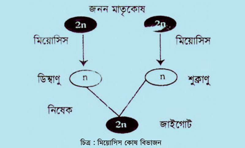 জীববিজ্ঞান