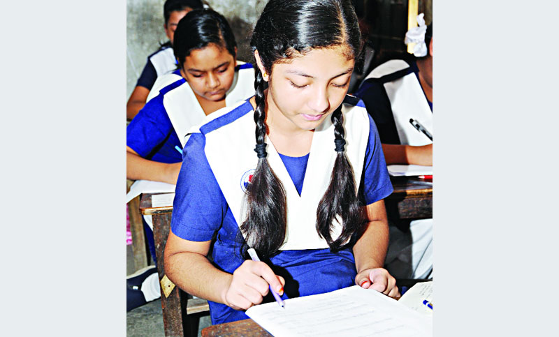 প্রাথমিক শিক্ষা সমাপনী প্রস্তুতি -  বাংলা