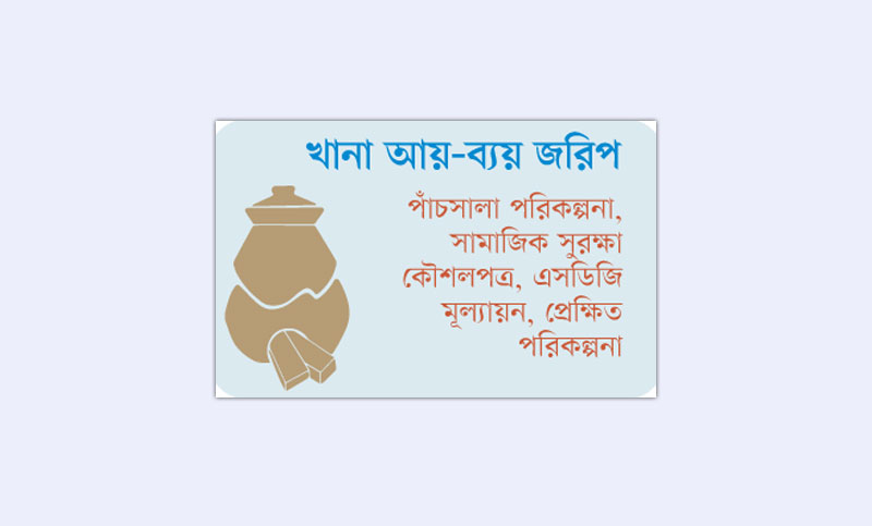 খানা আয়-ব্যয় জরিপ কী