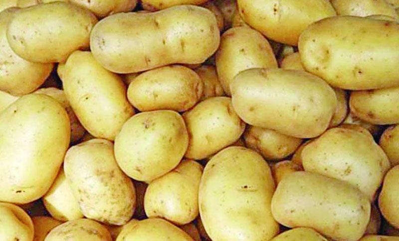 আলু