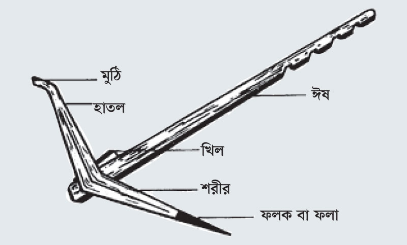 লাঙল