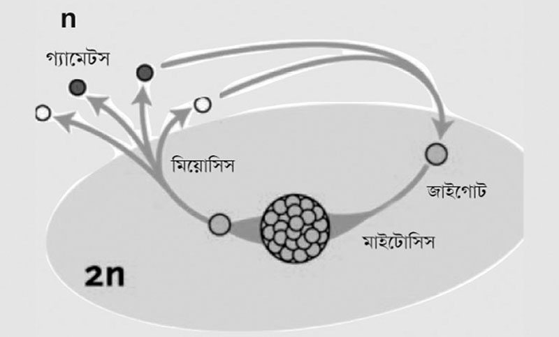 জীববিজ্ঞান