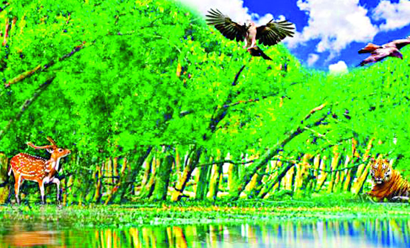 বন আইন