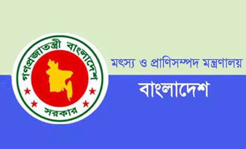 চোরাপথে পশু আমদানি রুখতে কঠোর সরকার