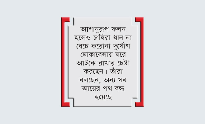 ‘ধানেই হামার সম্বল’