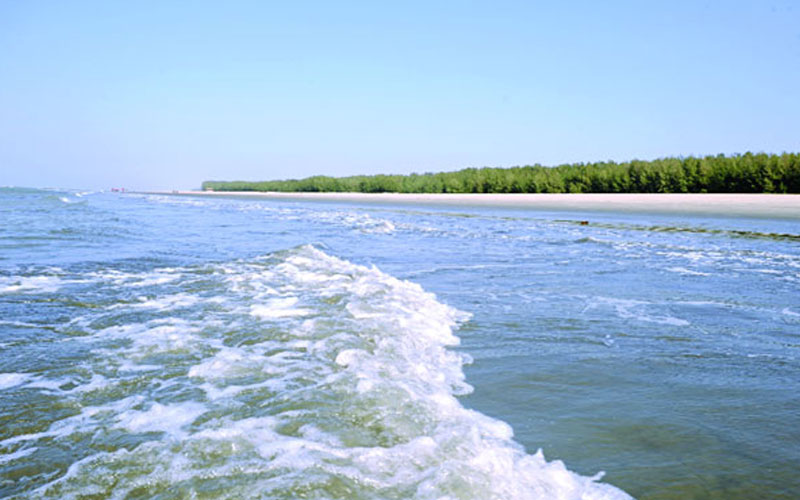 এক দিনেই সরানো হলো দেড় হাজার বস্তা বর্জ্য