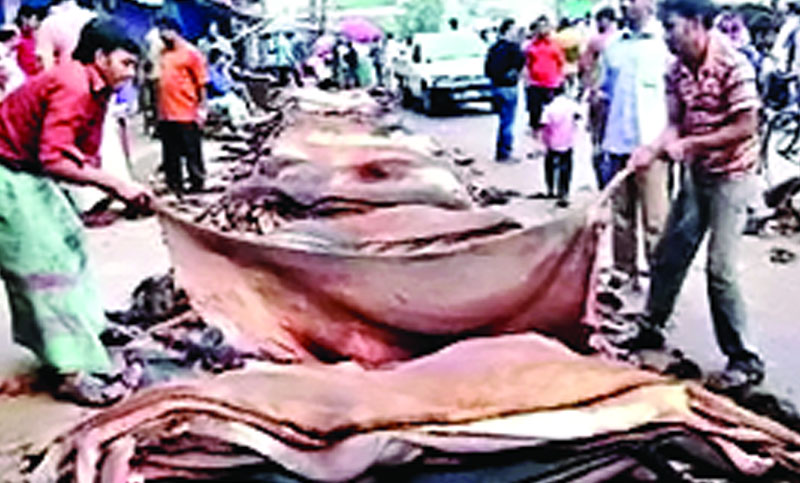 চামড়ায় অরাজকতা ঠেকাতে এবার তদারক দল