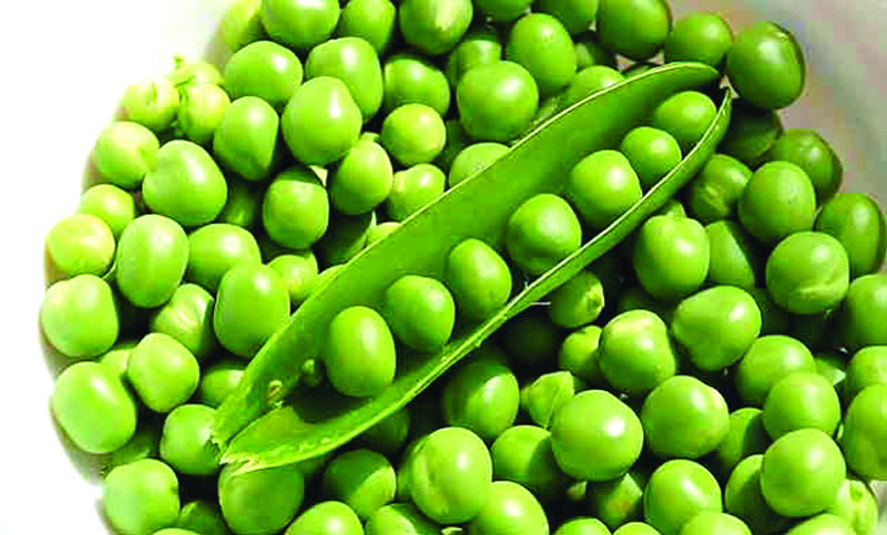 মটরশুঁটি