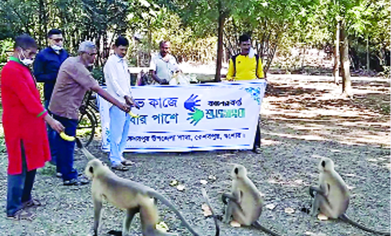 ক্ষুধার্ত হনুমানের জন্য খাবার