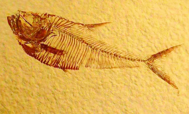 এসএসসি প্রস্তুতি - রসায়ন