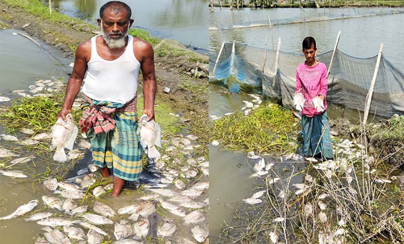 'আমি শেষ হয়ে গেছি, আল্লাহ তুমি তাদের বিচার করো'