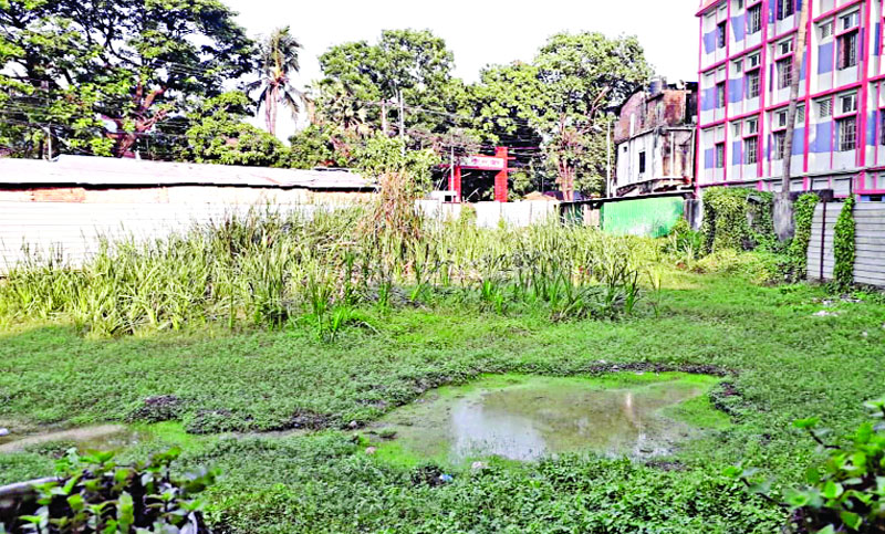 মসজিদের জমি দখলের ধান্দাও চলছে
