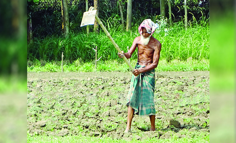 কোদাল