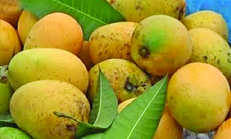 আমের জন্য অপেক্ষা