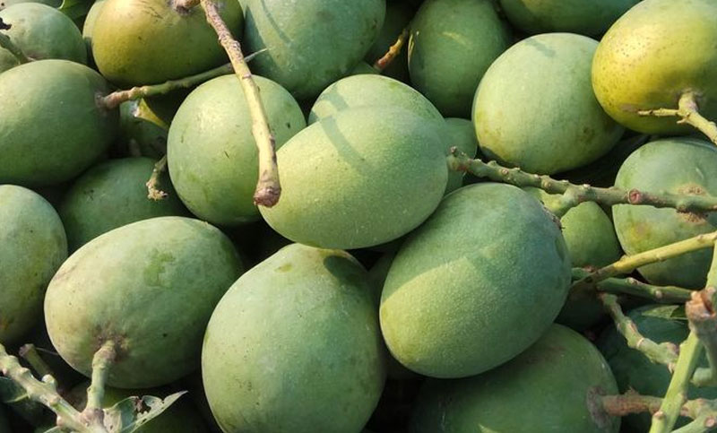আমের মুলুকে অনলাইন নির্ভরতা বেড়েছে