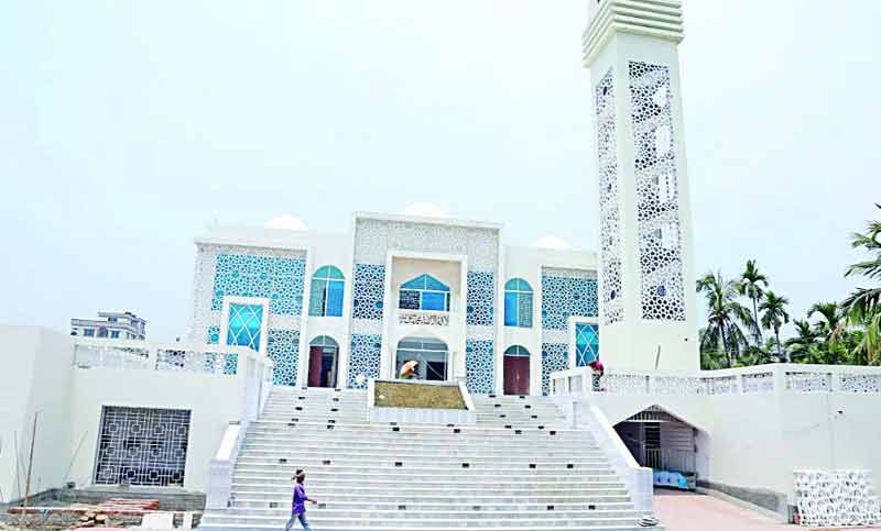 Mushuk pastdan siydi