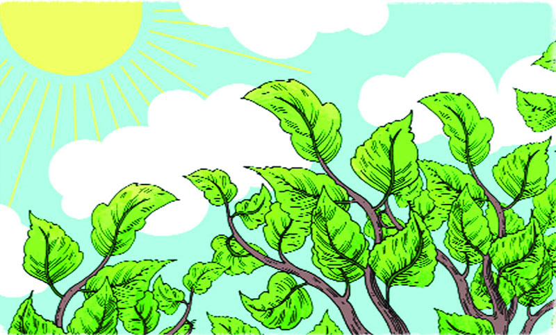এসএসসি প্রস্তুতি : জীববিজ্ঞান