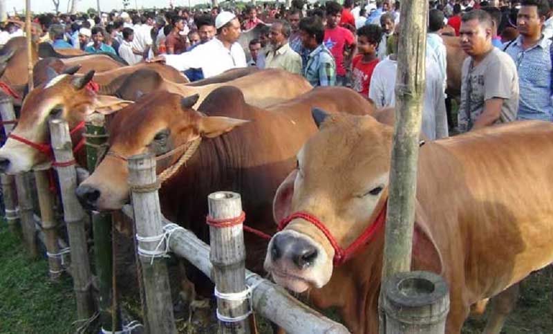 আফতাবনগরে কেউ মানছে না স্বাস্থ্যবিধি