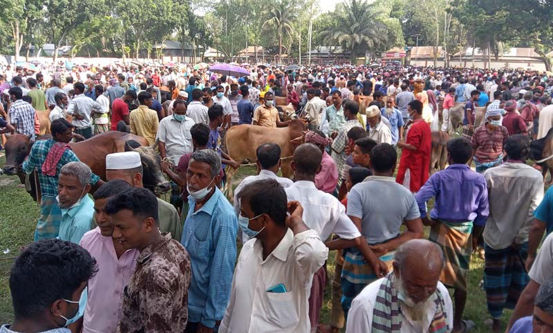 দীর্ঘদিন বন্ধের সুযোগে স্কুল মাঠে গরুর হাট
