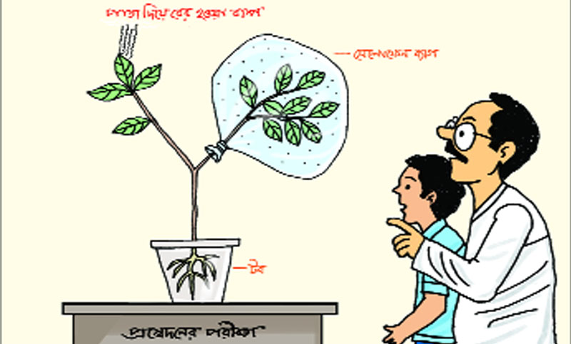 নবম-দশম শ্রেণি - জীববিজ্ঞান